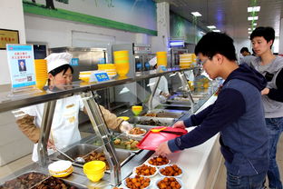 強化監督評議，提升餐飲服務管理水平