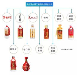 茅臺(tái)酒品鑒與營(yíng)銷策略 技術(shù)開發(fā)賦能品牌新生態(tài)